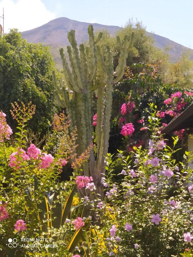 Hotel La Rosamarina Stromboli Zewnętrze zdjęcie