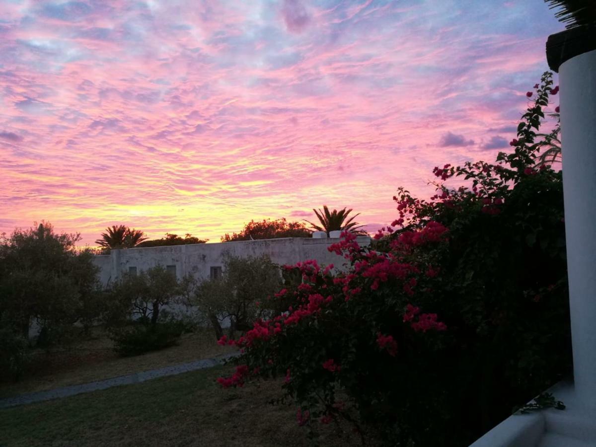 Hotel La Rosamarina Stromboli Zewnętrze zdjęcie