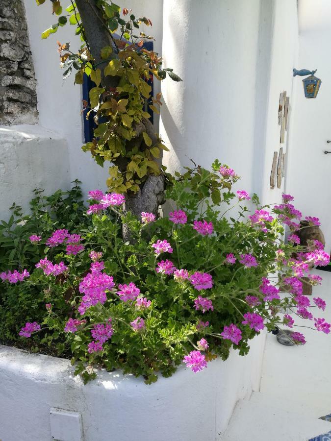 Hotel La Rosamarina Stromboli Zewnętrze zdjęcie