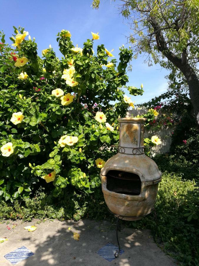 Hotel La Rosamarina Stromboli Zewnętrze zdjęcie